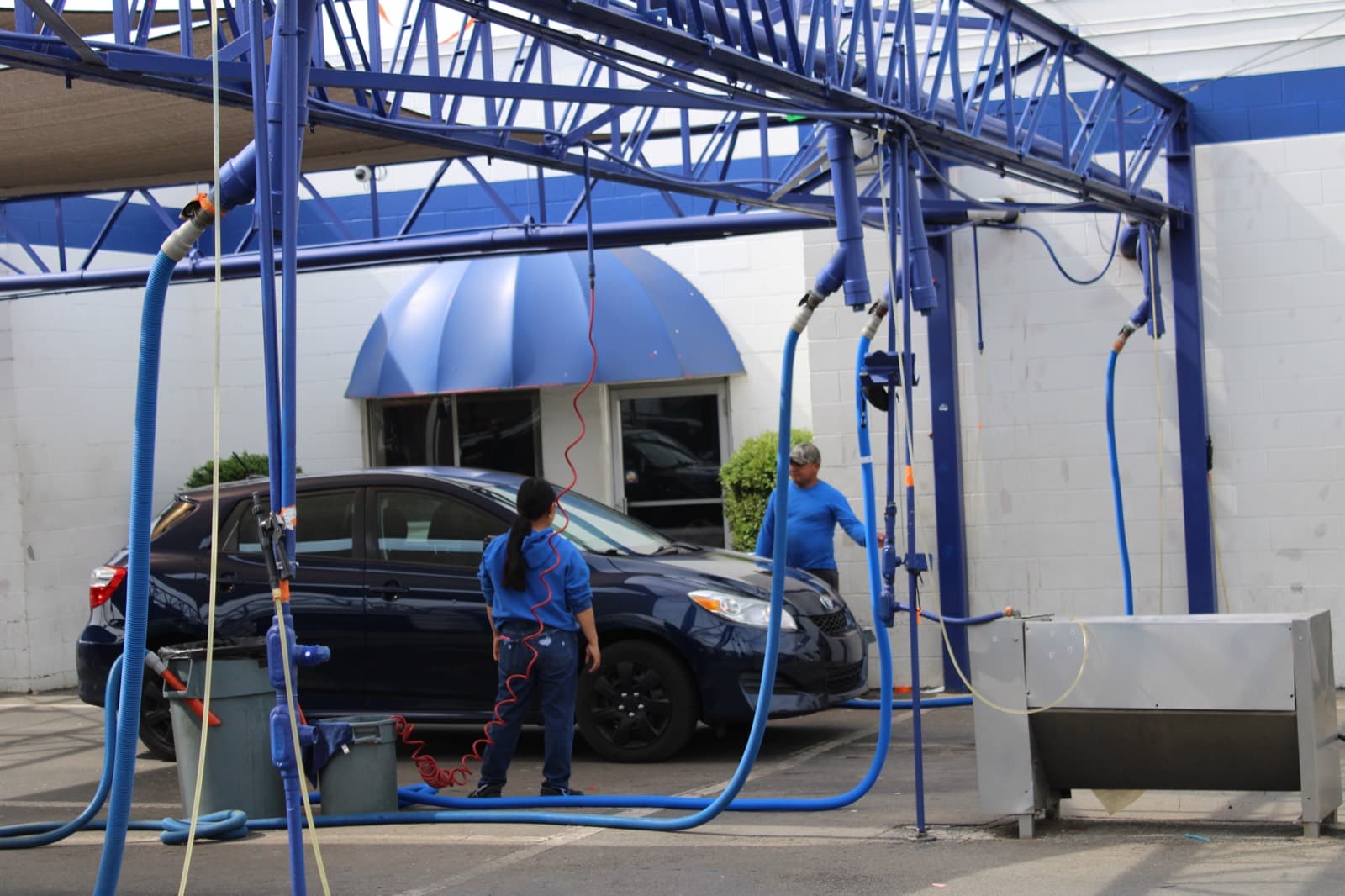 Those Black Spots on Your Car Might Be From a Fungus